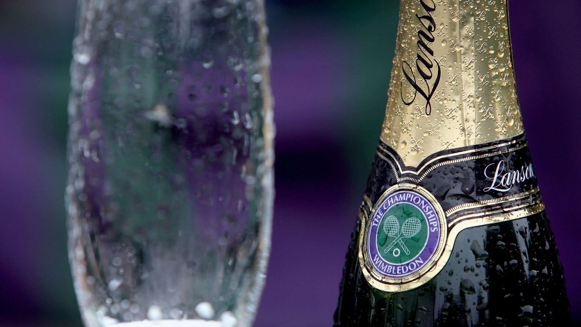 期待借助主 期待借助主